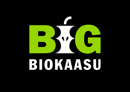BIG-biokaasu